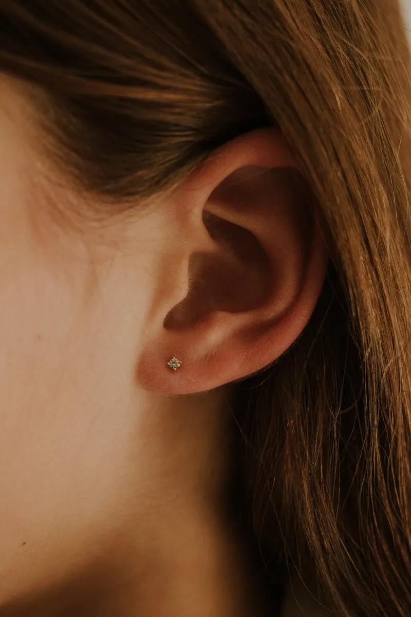 Dainty Shimmer Stud - Silver