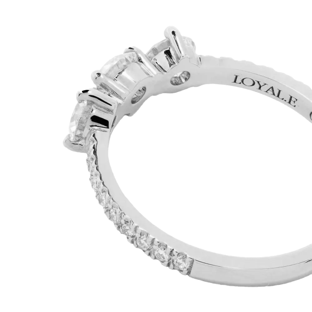 Les absolu.e.s encore plus solitaire ring