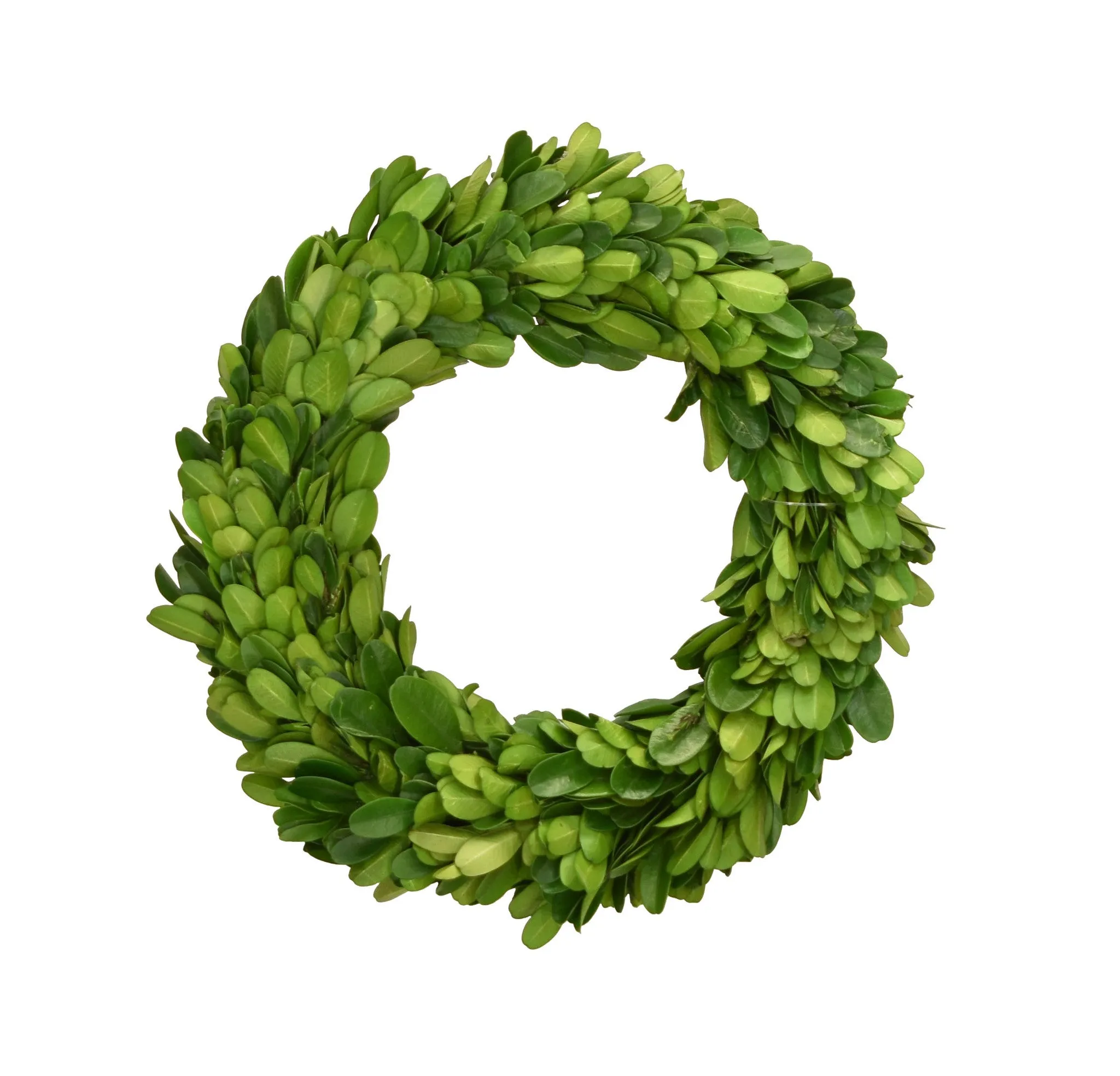 Preserved Boxwood Candle Rings
