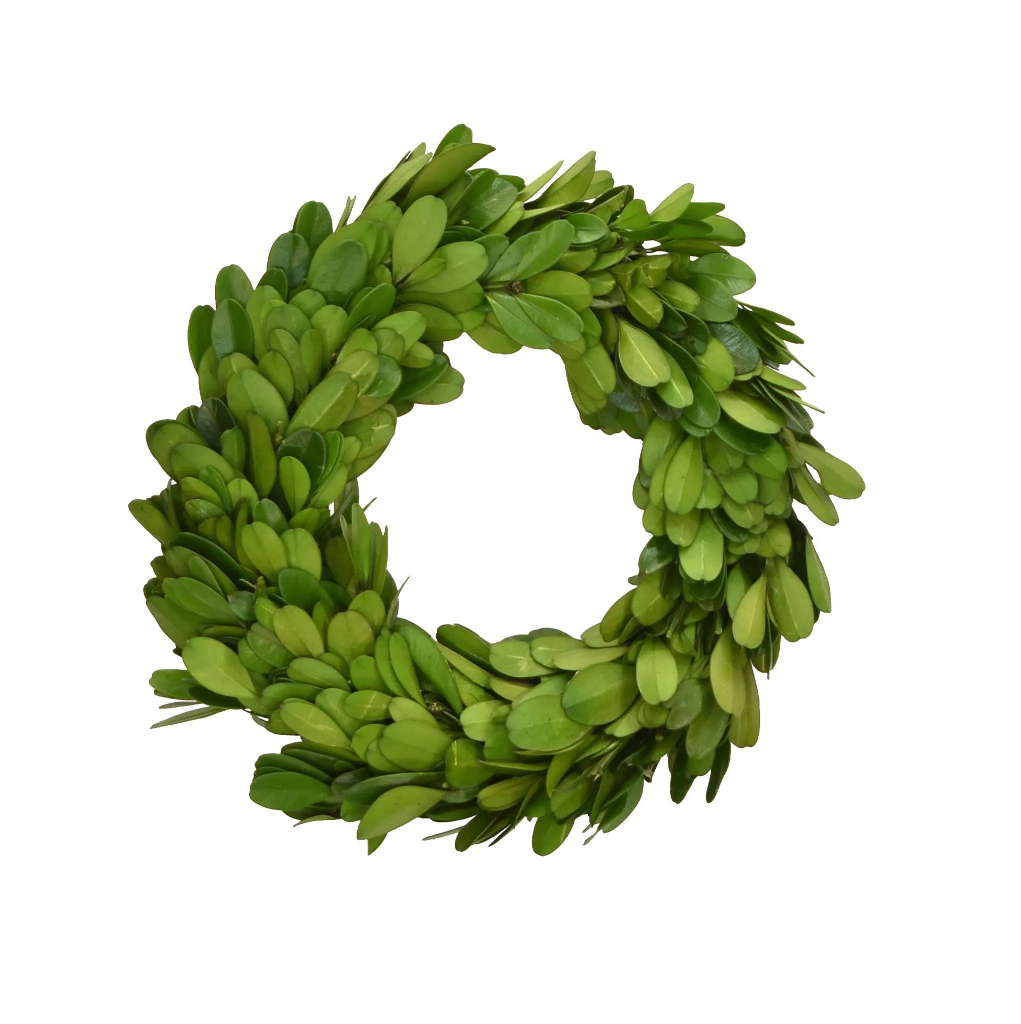 Preserved Boxwood Candle Rings