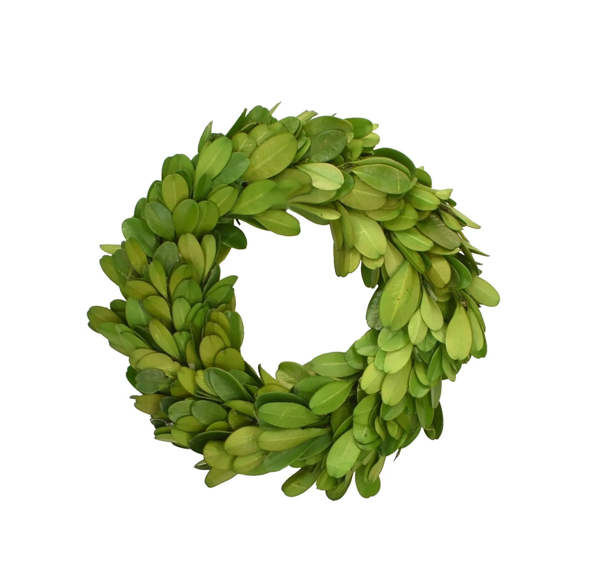 Preserved Boxwood Candle Rings