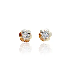 Radiant Starlight hearts Earrings