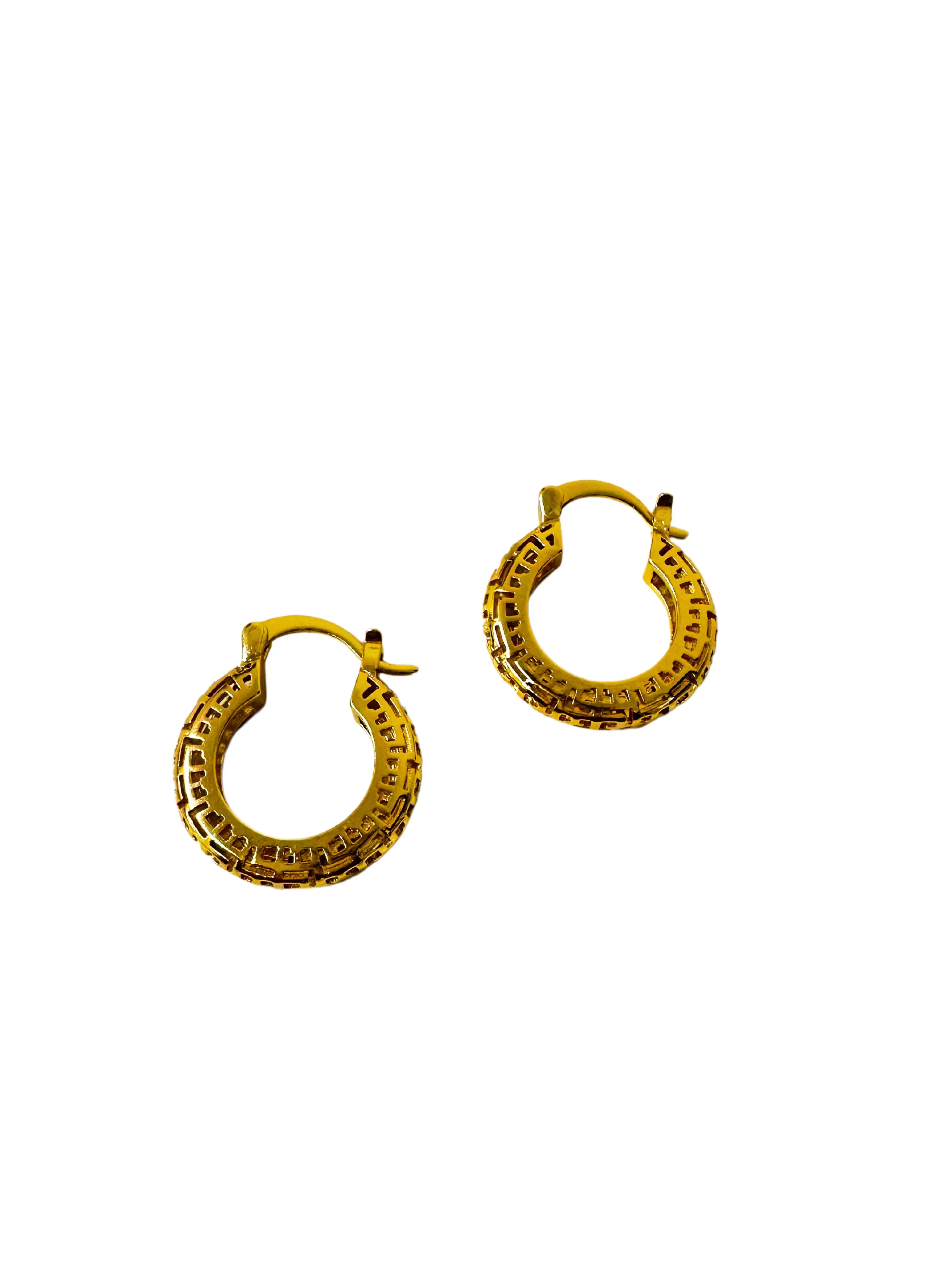Tanya Tarnish Free Hoop