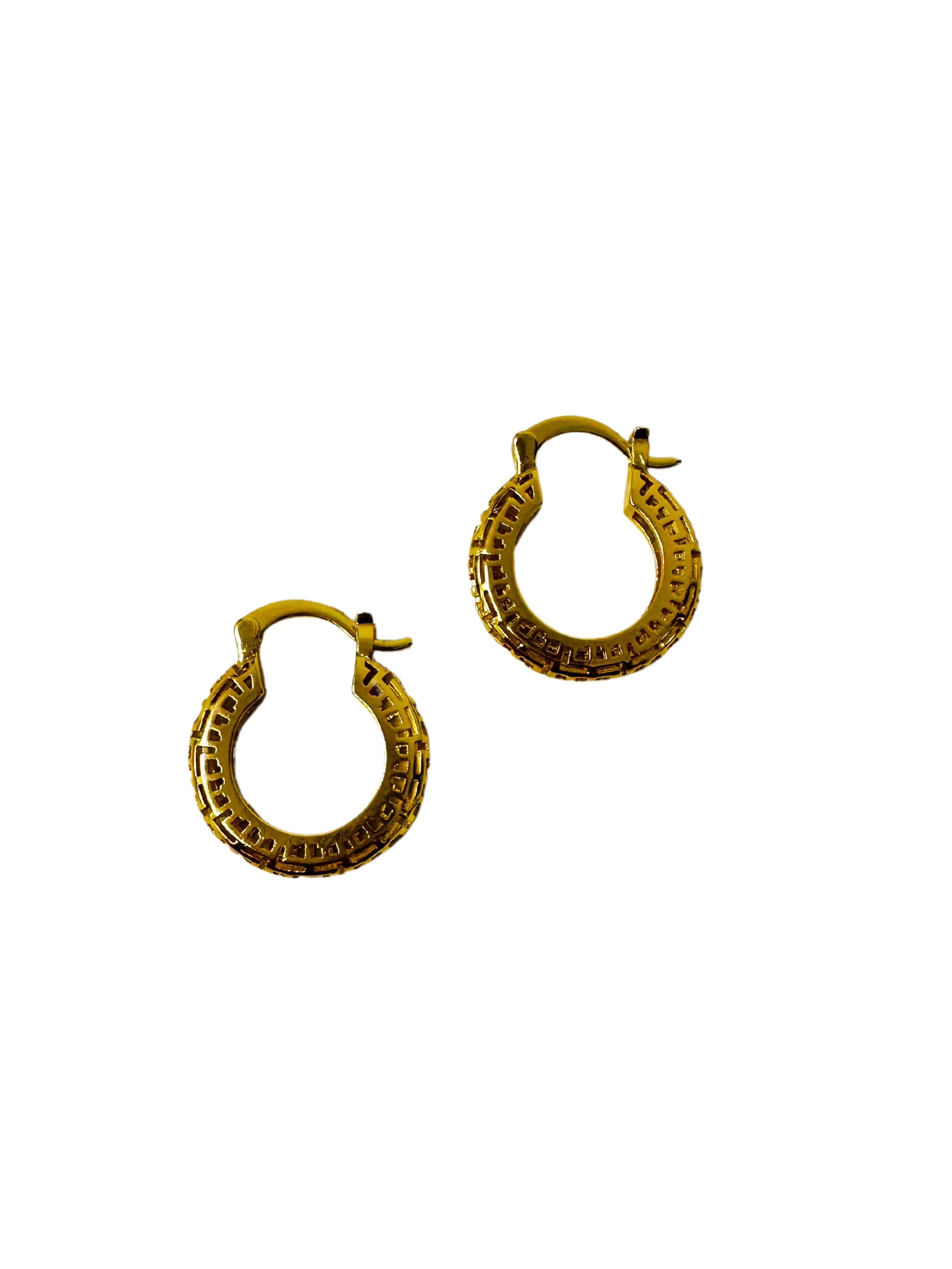 Tanya Tarnish Free Hoop